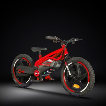 BICI ELETTRICA ROOKIE 16″
