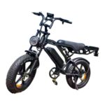 Bici elettrica V20